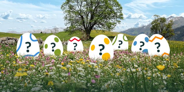 7 Ostereier auf Blumenwiese