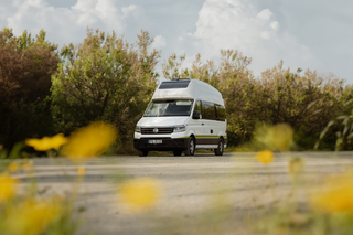 Vw Grand Califonira in Frühlingsstimmung